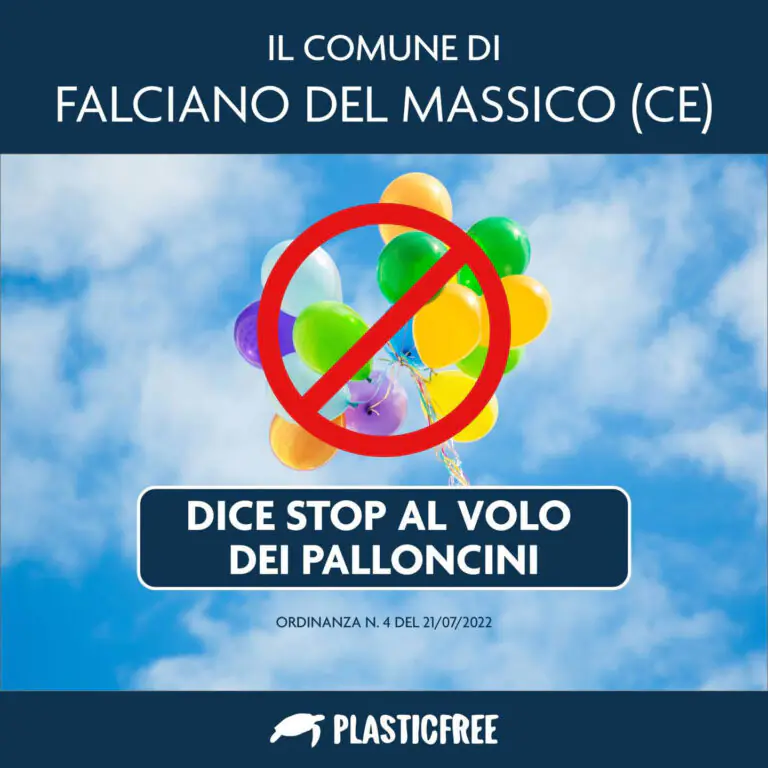 Il comune del casertano vieta il volo dei palloncini
