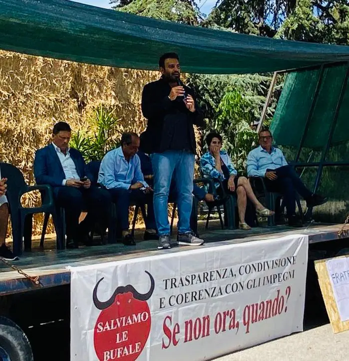 Cangiano (Fratelli d’Italia) dagli allevatori bufalini: «Non consentiremo più a nessuno di lucrare sulla vostra pelleۛ»