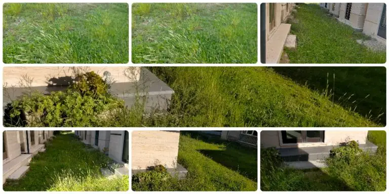 Cimitero nel degrado: erba alta e incolta