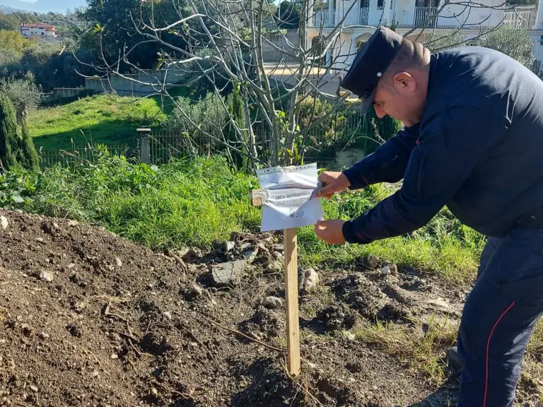 Blitz al frantoio, scatta il sequestro: imprenditore nei guai