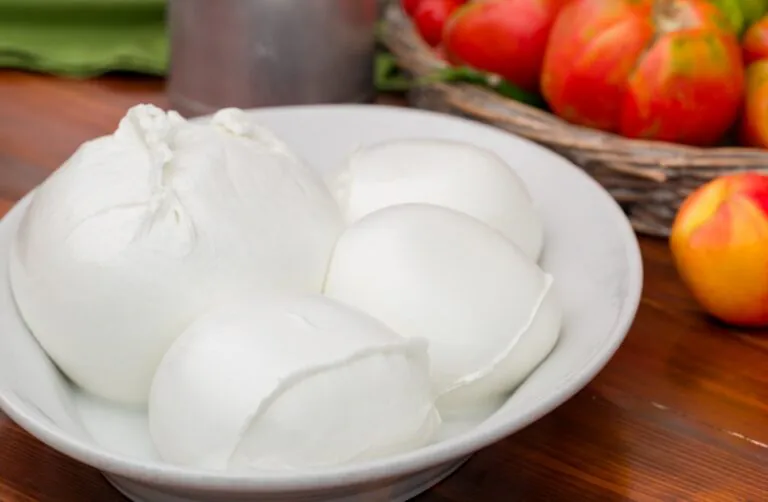 Mozzarella Dop e Vini: la prima guida-catalogo ai migliori abbinamenti