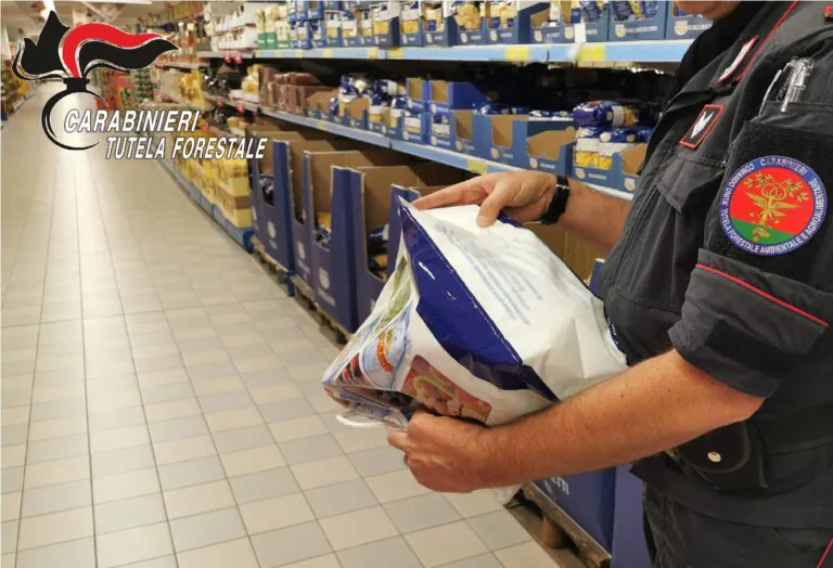 Militari nei supermercati, prodotti natalizi nel mirino: multe per 3mila euro