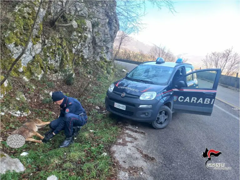 Spara 4 colpi e lo uccide, indagine dei militari: decisa autopsia