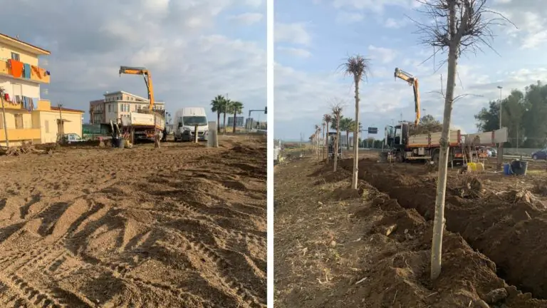 Decoro urbano, partita la piantumazione di 130 alberi
