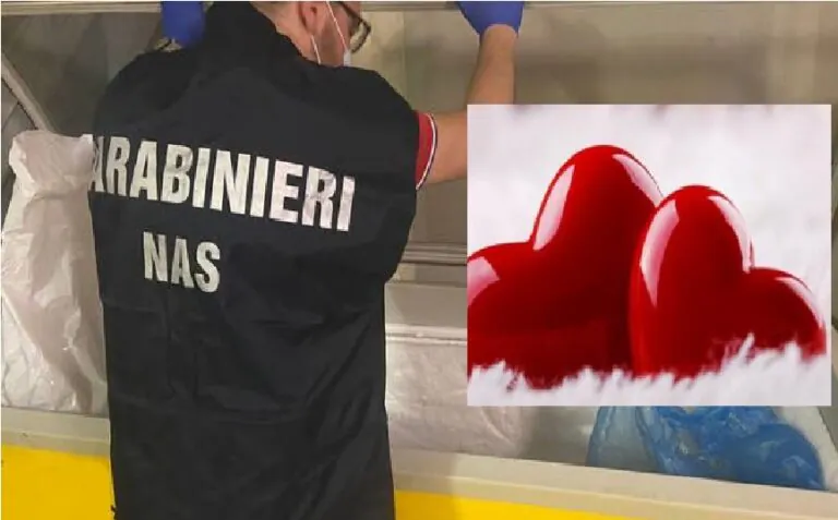 Nas fanno irruzione a San Valentino nel ristorante: sequestrati 3 quintali di pesce e carne