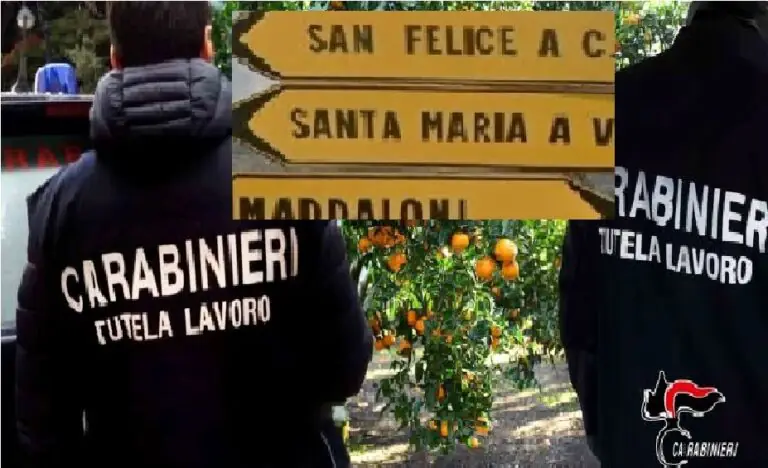 Lavoro nero, maxi blitz in provincia: 5 attività sospese, decine di lavoratori irregolari