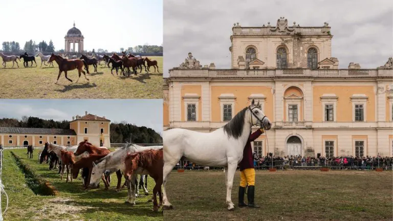 Il Real Sito di Carditello rinasce e torna agli antichi fasti con i nuovi lavori di restauro