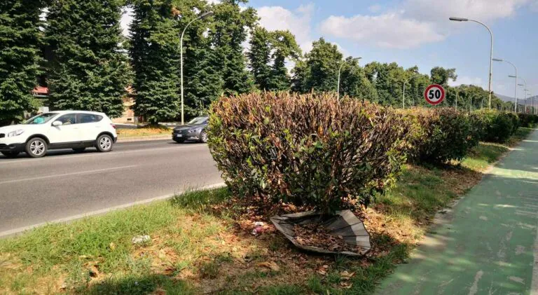Dalla prossima settimana via alle operazioni di taglio dell’erba in tutte le zone della città