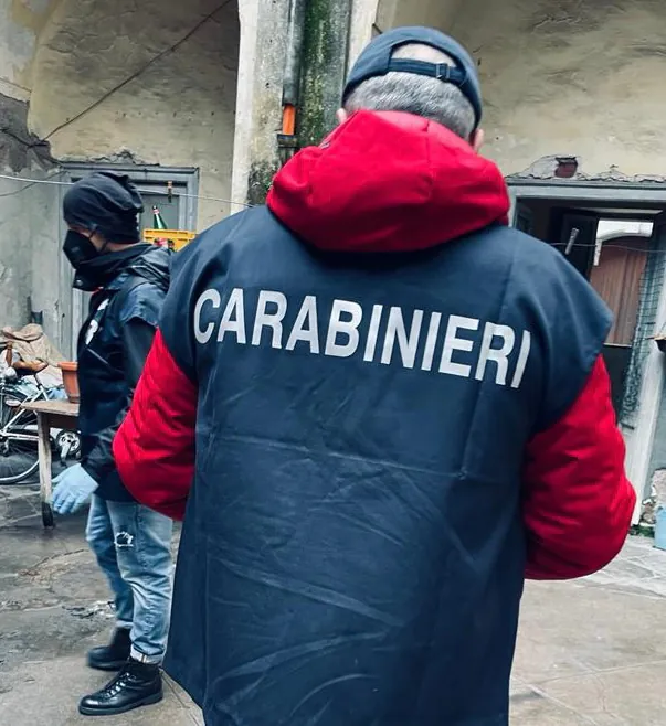Prende il Reddito ma si mette a spacciare: beccato dai cani antidroga