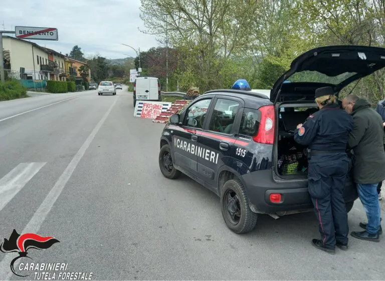 Occhio alla Pasqua avvelenata: sequestrati 6 quintali di alimenti. Scampagnate nel mirino