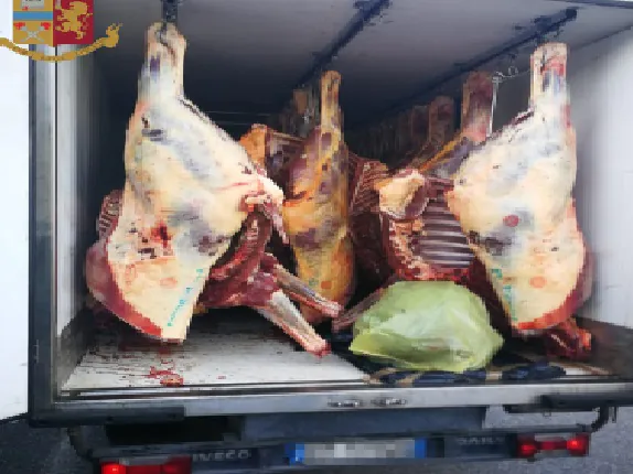 Bloccato carico di carne illegale destinata a negozio alimentare