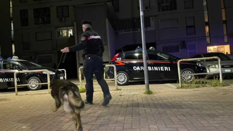 Cane trova un panetto di droga in casa, arrestato dopo blitz