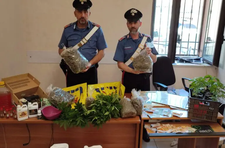 Padre e figlio coltivatori di marijuana: carabinieri trovano 3 chili pure in camera da letto