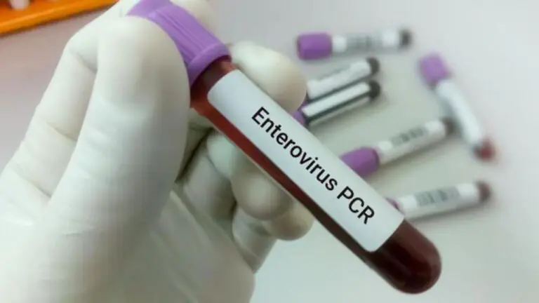 Enterovirus nei neonati, segnalati casi anche in Italia: è allarme