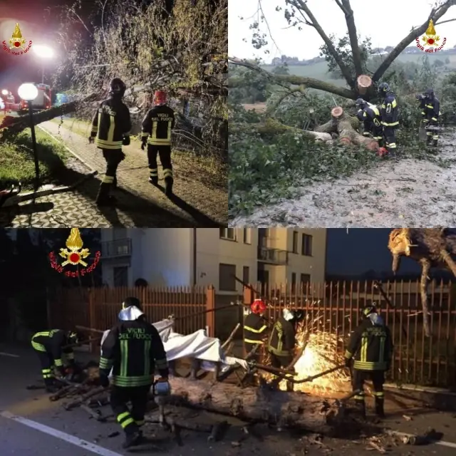Maltempo d’agosto fa danni nel Casertano, giù albero e cartelloni pubblicitari. Foto