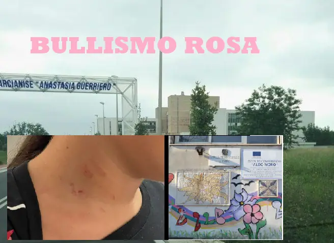 Bullismo rosa, ragazzina aggredita da coetanea nel cortile della scuola: “E’ così da anni”
