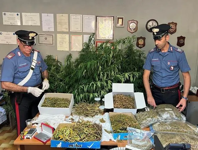 Scovato deposito di droga nel Casertano: requisiti 6 chili di hashish, proprietario in cella