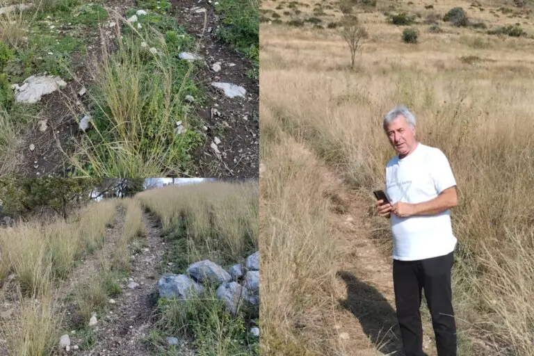Corse illegali di motocross e quod su colline, scatta la denuncia