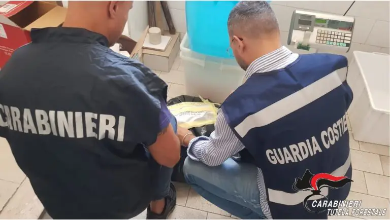Vendono congelato per fresco, blitz e sequestro