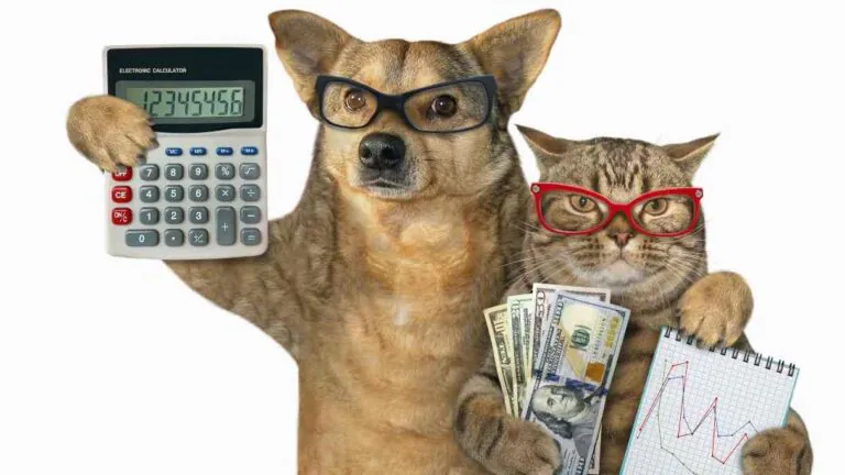 Bonus economico per chi possiede un animale domestico: come ottenerlo