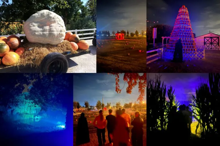 ‘Haunted Corn Maze’, ecco  i week end di ‘terrore’ al ‘Giardino delle Zucche’