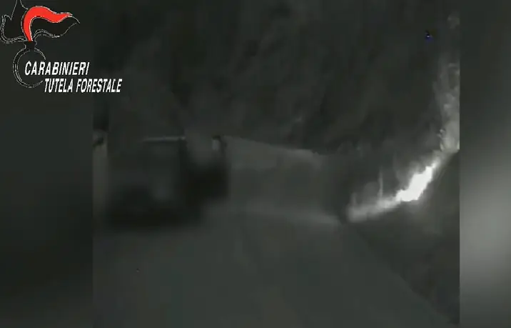 Diede fuoco all’area protetta, stangata per il piromane. IL VIDEO
