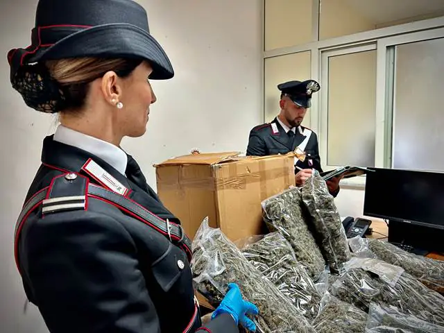 Corriere bussa alla porta e consegna pacco con 10 chili di marijuana