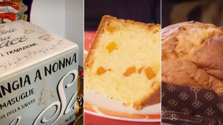 La golosa proposta di panettoni della pasticceria casertana