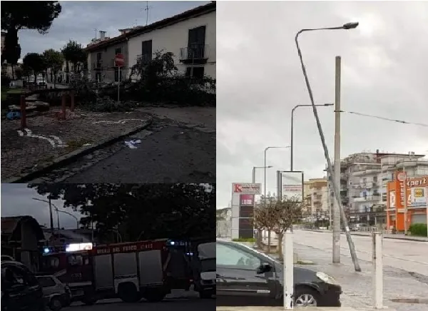 Maltempo fa già danni in città: palo divelto e alberi crollati. FOTO
