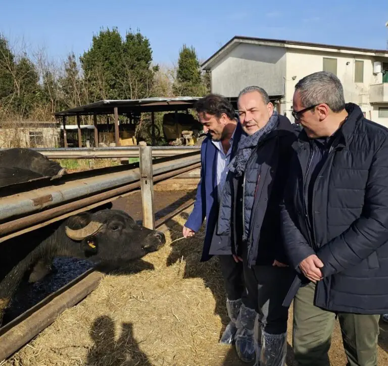 Gli auguri di Natale di Fratelli d’Italia da una azienda bufalina e da un bene confiscato