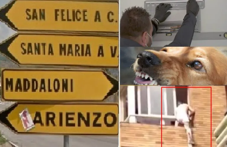Operaio si lancia dal balcone per evitare l’aggressione del pitbull di casa