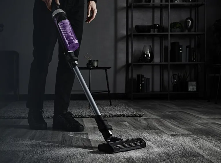 Aspirapolvere Rowenta con aspirabriciole rimovibile: pulisci senza fatica,oggi la paghi pochissimo