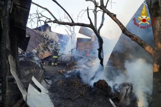 Incendio distrugge capannone di un’azienda agricola