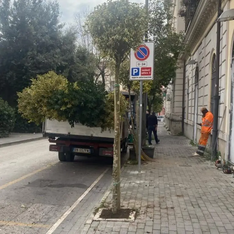 Operazione green, nuovo progetto per colorare di verde la città