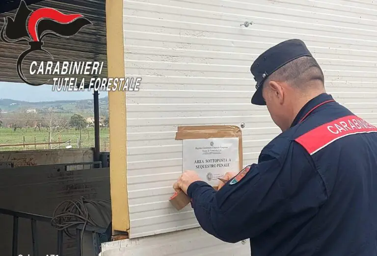Blitz dei carabinieri, sequestro in un’azienda zootecnica