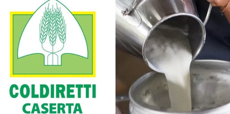 Federazione Coldiretti, società di latte sanzionata per aver violato gli accordi presi