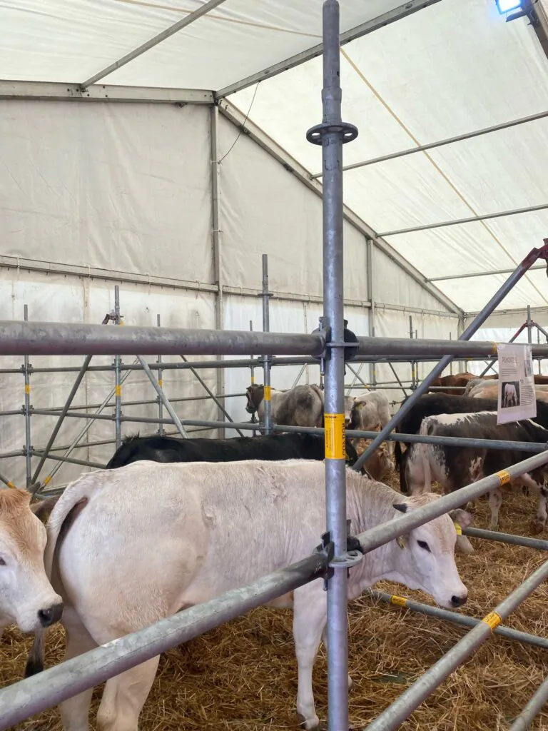 Fiera per le innovazioni nel campo agricolo, biglietti donati ai coltivatori diretti
