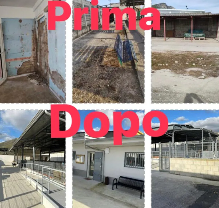 Bocciodromo, l’Amministrazione D’Angelo: “Ecco la verità. Fatti non parole”