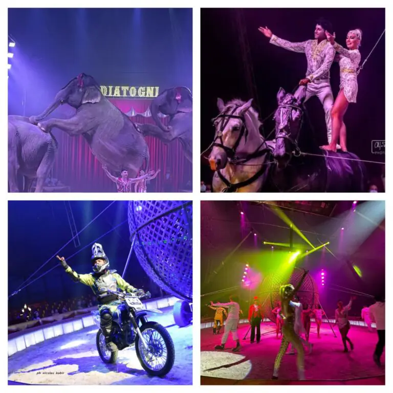 “Elefantastico”, grande attesa per il nuovo show del Circo Togni. Le date