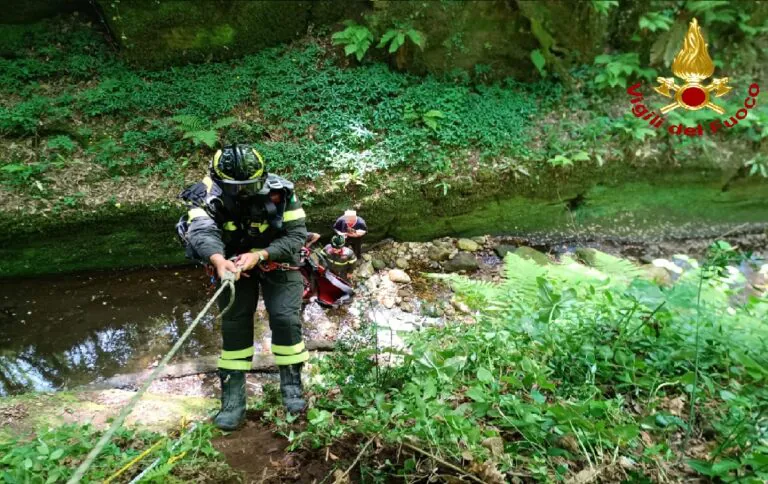 Padrone e cane giù a 60 metri, arrivano i vigili del fuoco