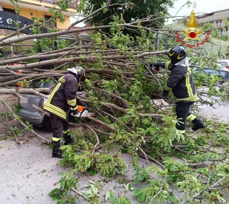 Albero cade sull’auto, lui resta intrappolato: ecco le sue condizioni. FOTO