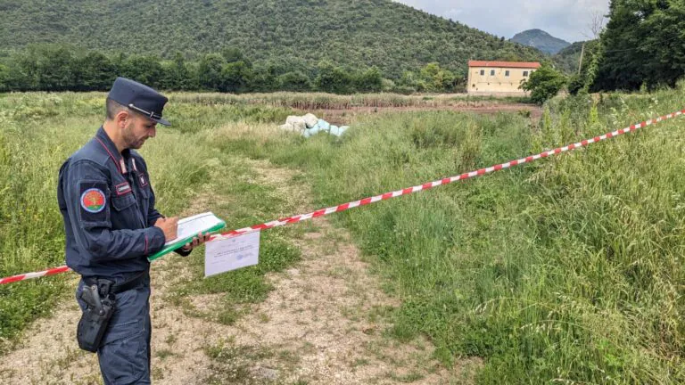 Smaltimento di rifiuti speciali, blitz con sequestro nell’azienda bufalina