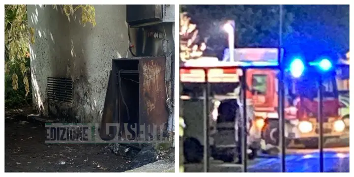 Incendiano rifiuti nel parco cittadino: le fiamme si propagano alla cabina Enel