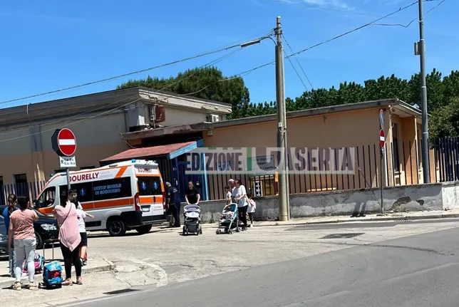 Paura nel cortile della Materna, bimbo morso da una biscia