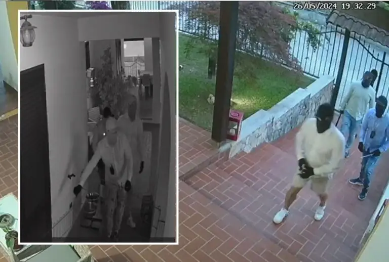 Villetta svaligiata in 4 minuti, il video choc del colpo tra bastonate ai cani e sopralluoghi