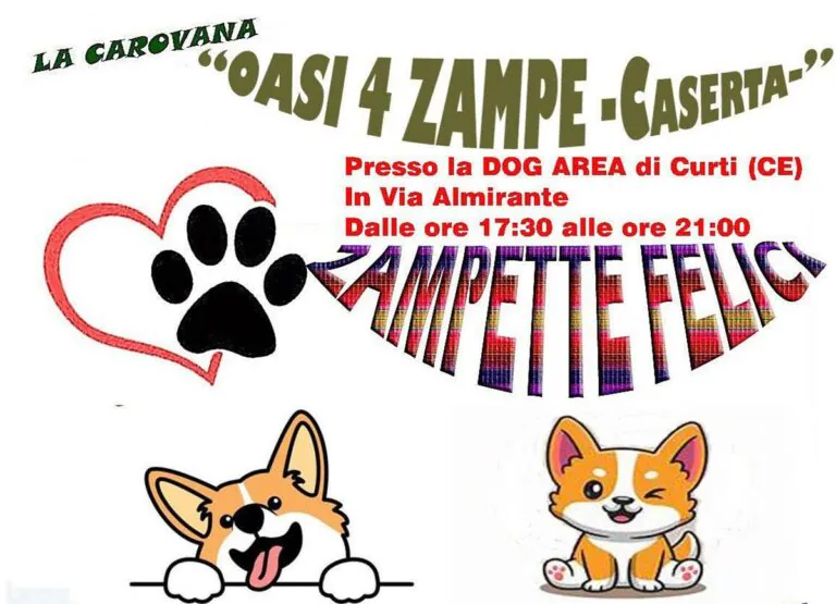 ‘Zampette Felici’, evento alla Pet Area di via Almirante