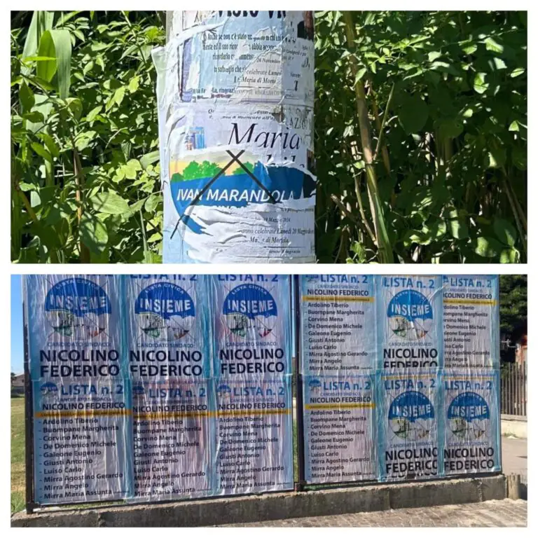Manifesti strappati o coperti. La condanna: “Fare politica è ben altro”