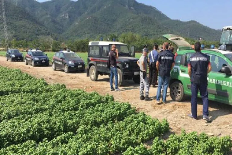 Caporalato: giro di vite contro aziende irregolari nel Casertano
