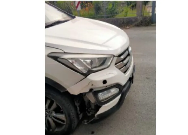Auto contro cinghiale, paura per il guidatore