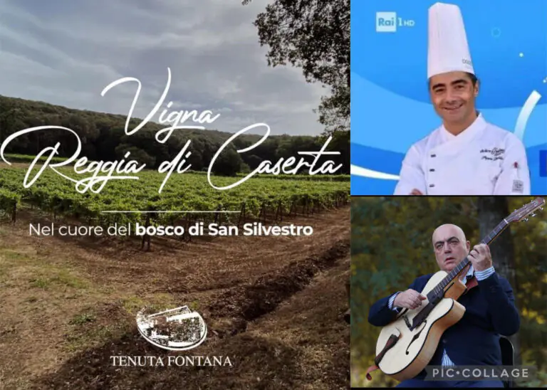 “Vigna del RE”: visita al tramonto con degustazione dei vini. Ecco come prenotare